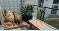 balcon frantuzesc 19295